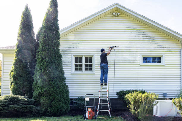 Best Fence Cleaning and Maintenance in Pine Castle, FL